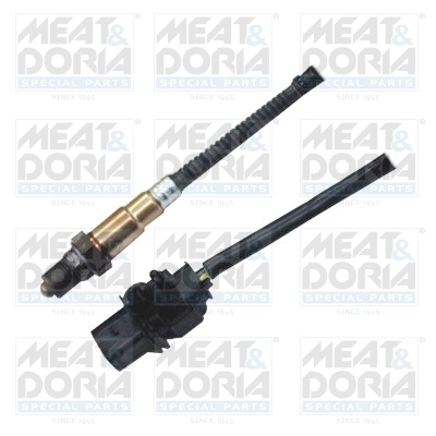 Oxygen Sensor